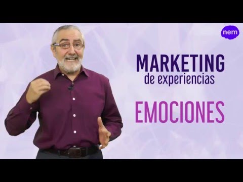 Entendiendo el Marketing Multi Sensorial: Una Experiencia de Mercadeo Integral