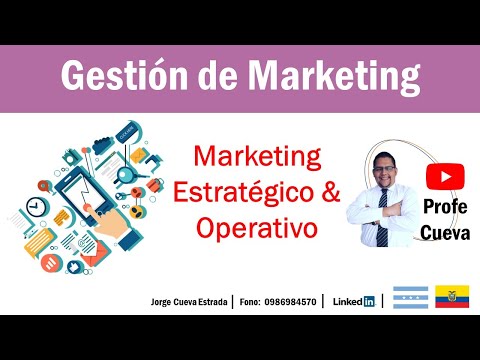 Marketing reactivo y proactivo: una guía completa para principiantes