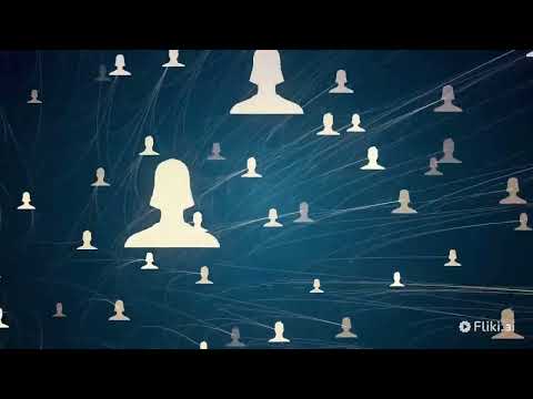 Clasificación de las redes LAN: una guía detallada para entender sus tipos y categorías