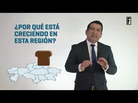 El Marketing de Bimbo: Estrategias y Enfoques para el Éxito en la Industria Alimentaria