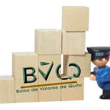 bvq portada min