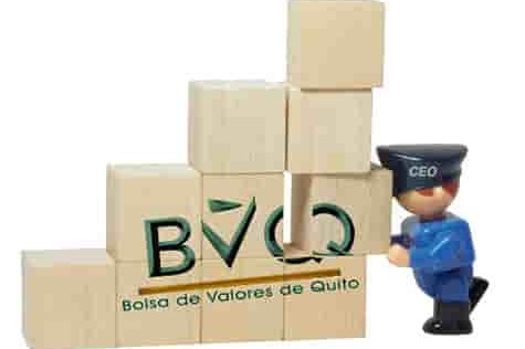bvq portada min