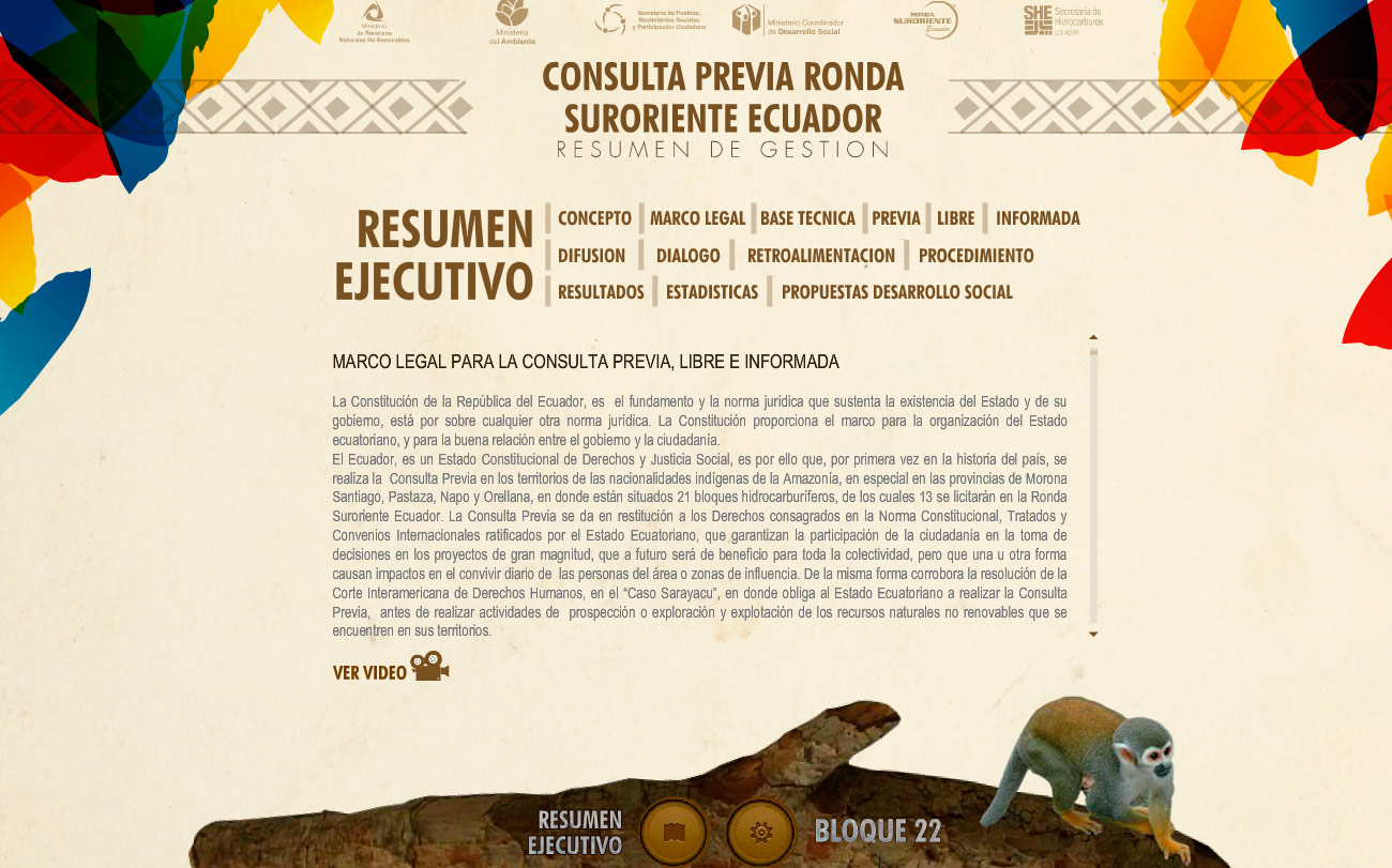 consulta amazonica resumen gestion