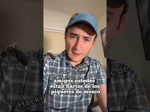 Cómo evitar que los mosquitos zumben en tu oído: consejos efectivos