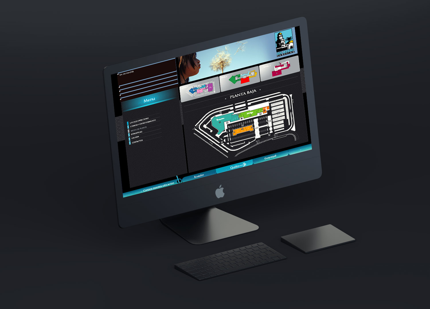 dk management3