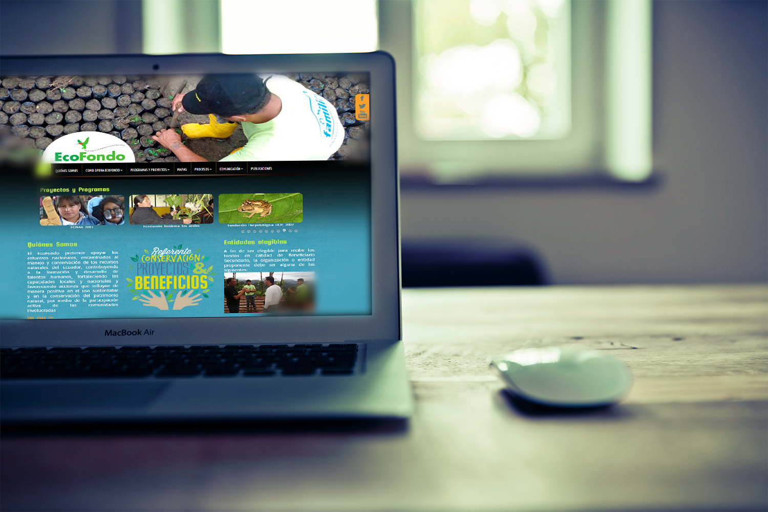 ecofondo desarrollo website