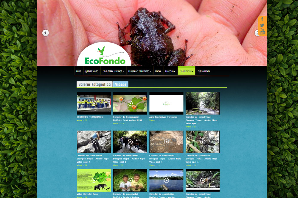 ecofondo website videos