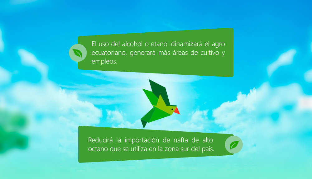 ecopais desarrollo web
