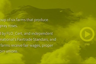 fairtrade 1