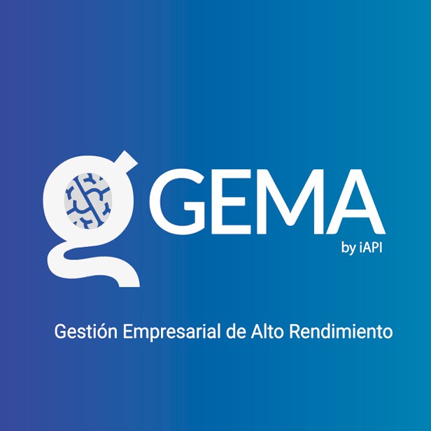 gestion empresarial alto rendimiento pagina web