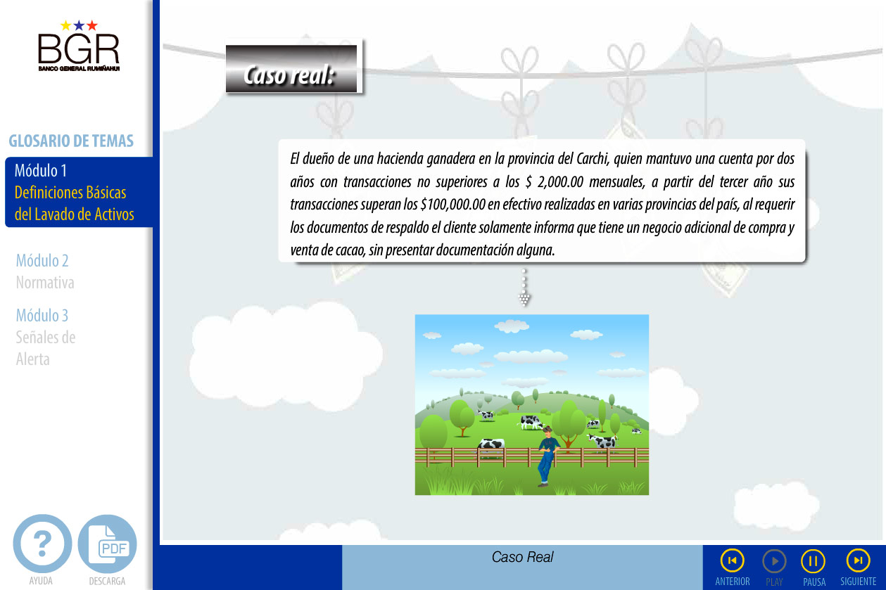 lavado de activos bgr caso