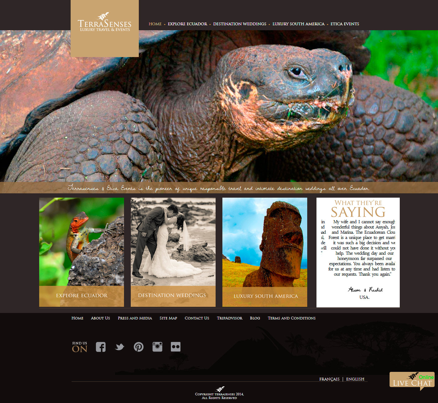terrasenses desarrollo website