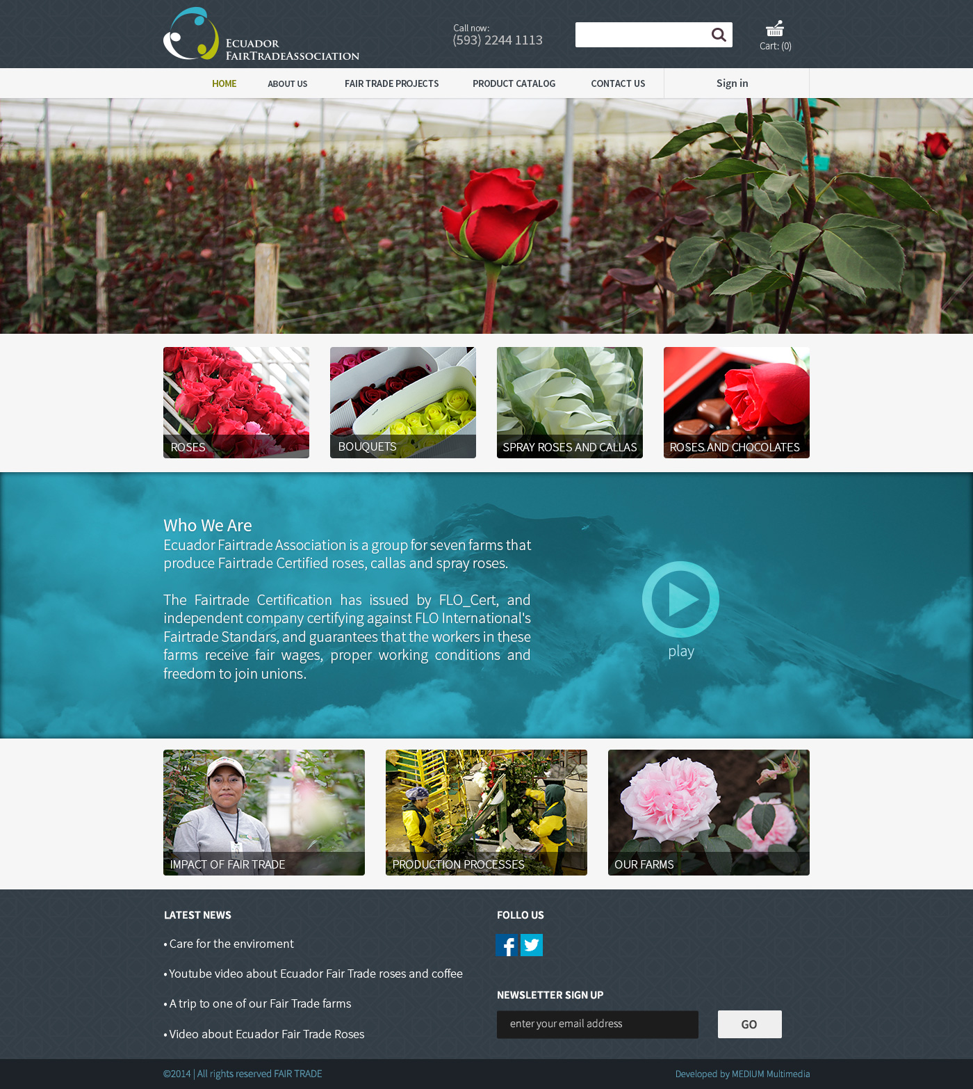 ui ux color2