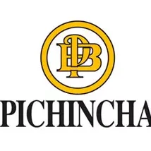 cliente banco del pichincha quito ecuador